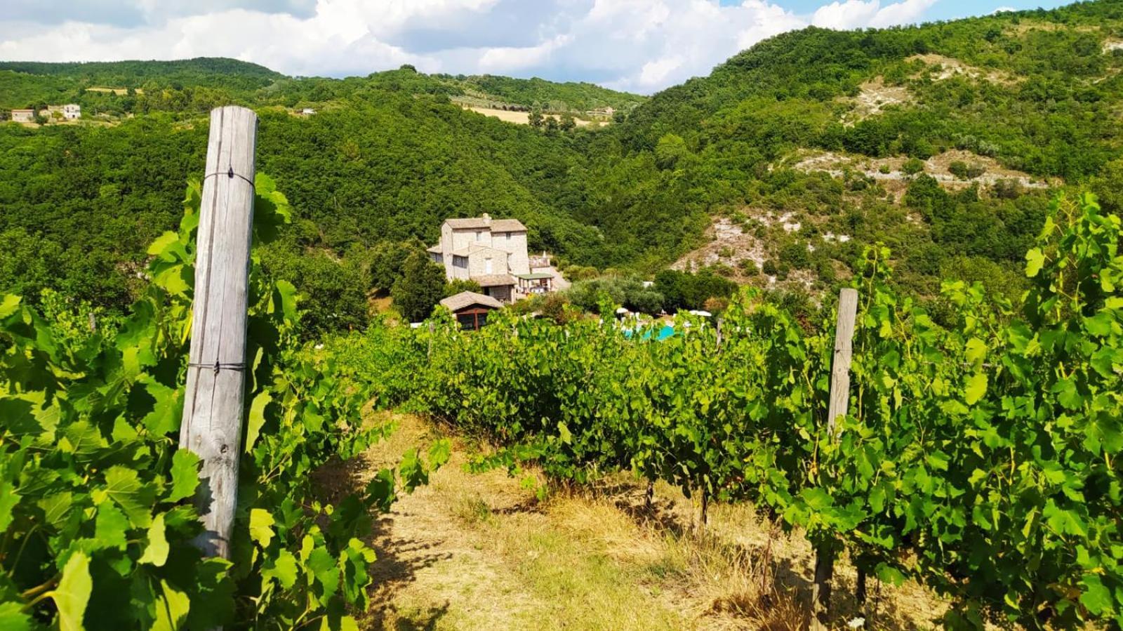 Re Artu Assisi Country Lifestyle Aparthotel Eksteriør bilde