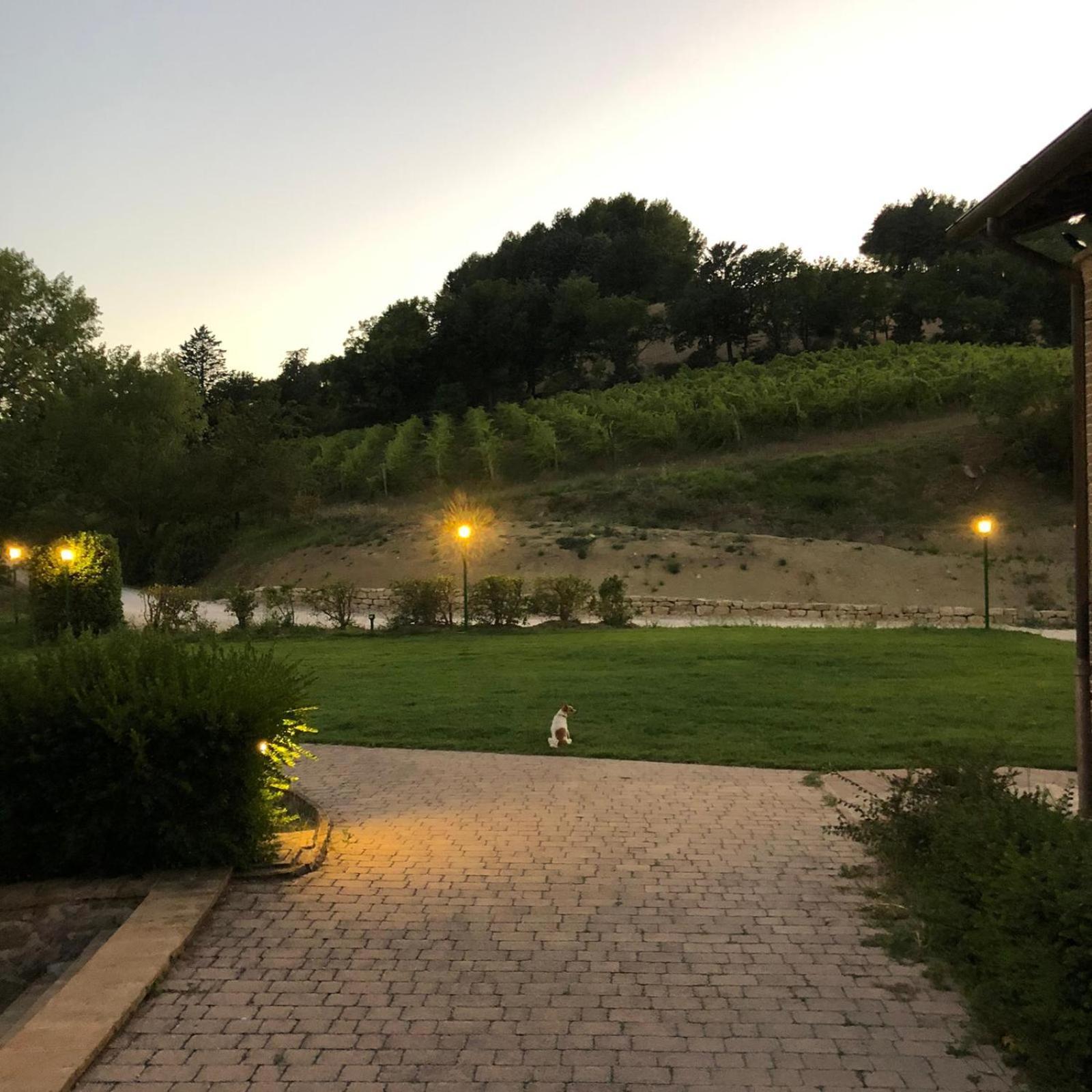 Re Artu Assisi Country Lifestyle Aparthotel Eksteriør bilde